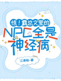 �������������NPCȫ���񾭲�